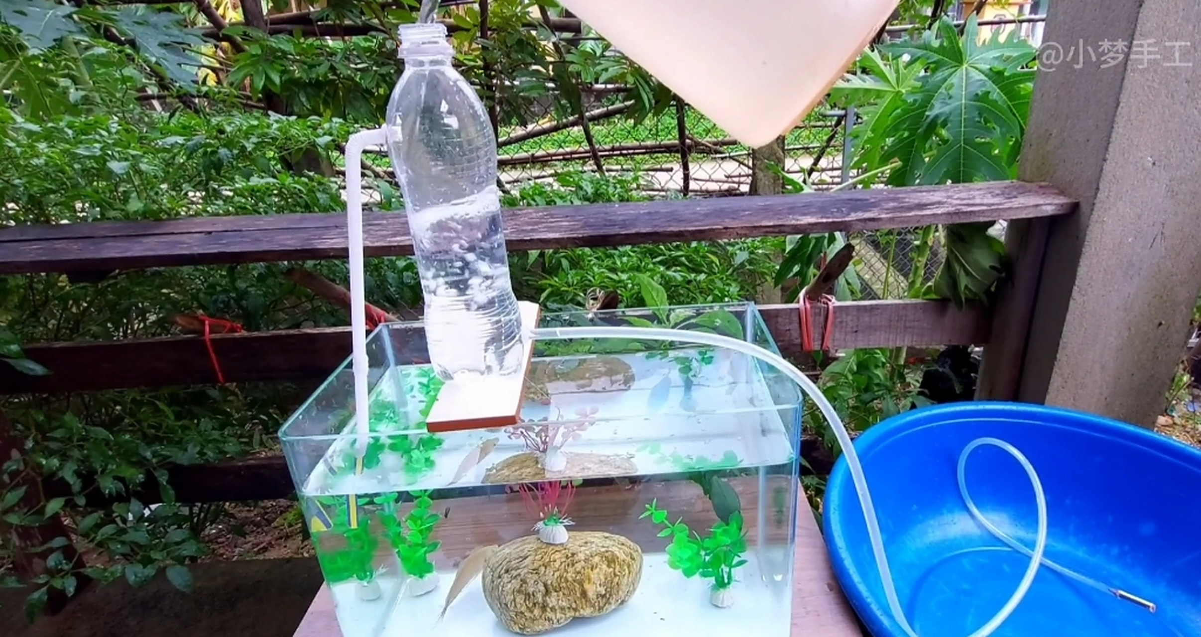 仅需要一个塑料瓶和两根软管就可以源源不断的给鱼缸打氧,一来省些