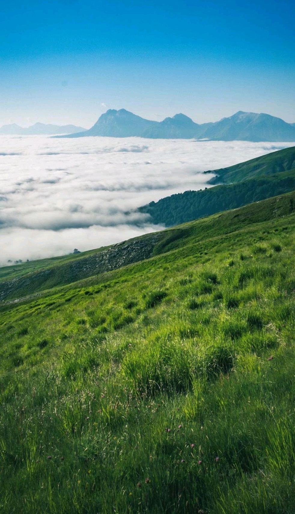 背景图,手机壁纸