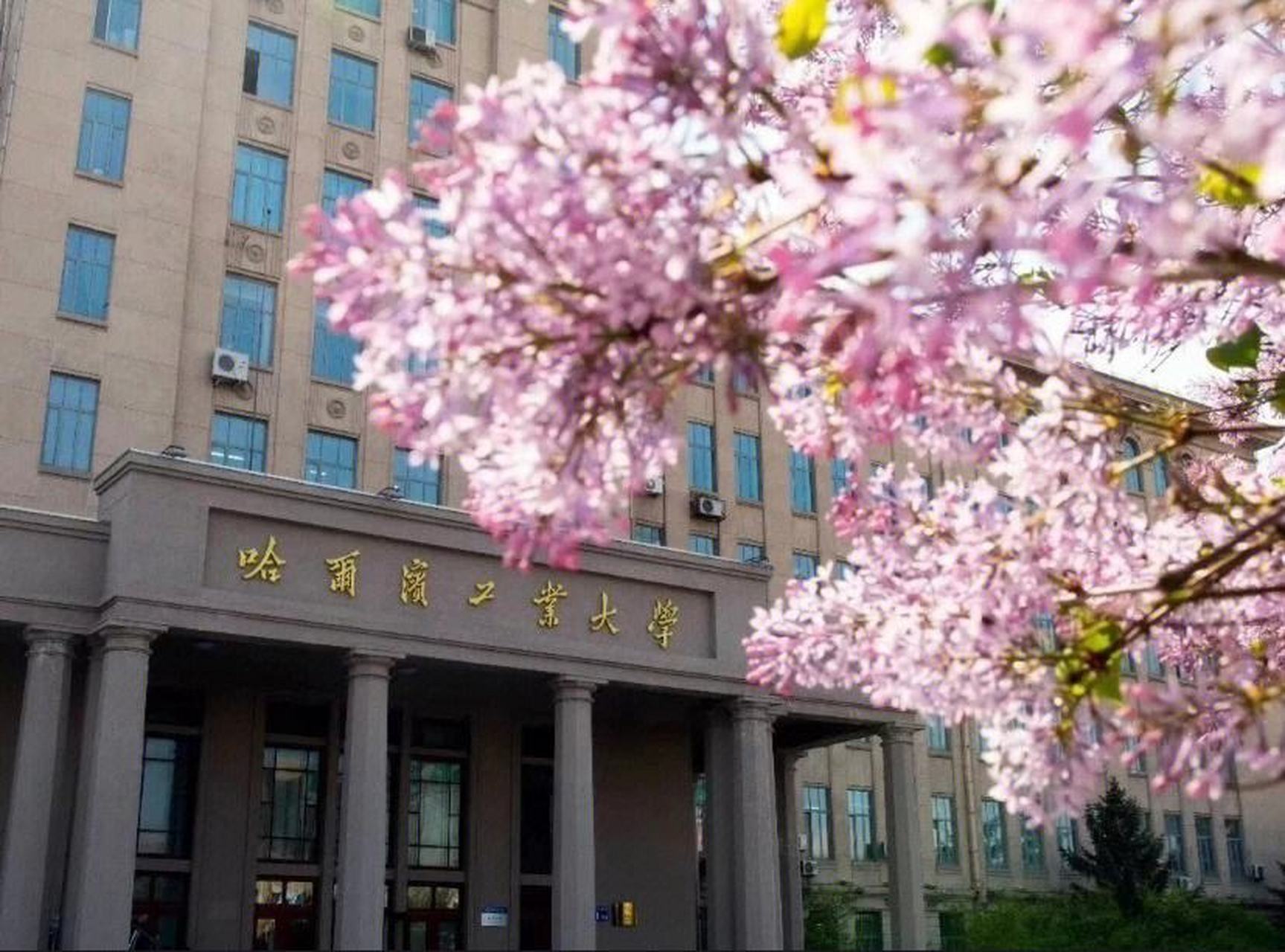 哈工大厉害了,成为首个向社会全面开放校园的国内名校!