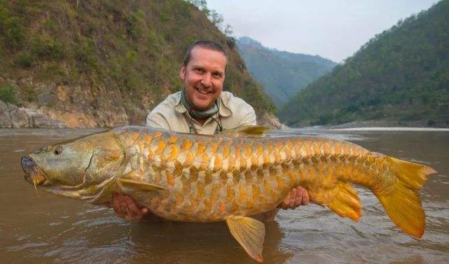 黄鳍结鱼的"尊贵",曾被供为上宾为皇室专属,如今真少到濒危?