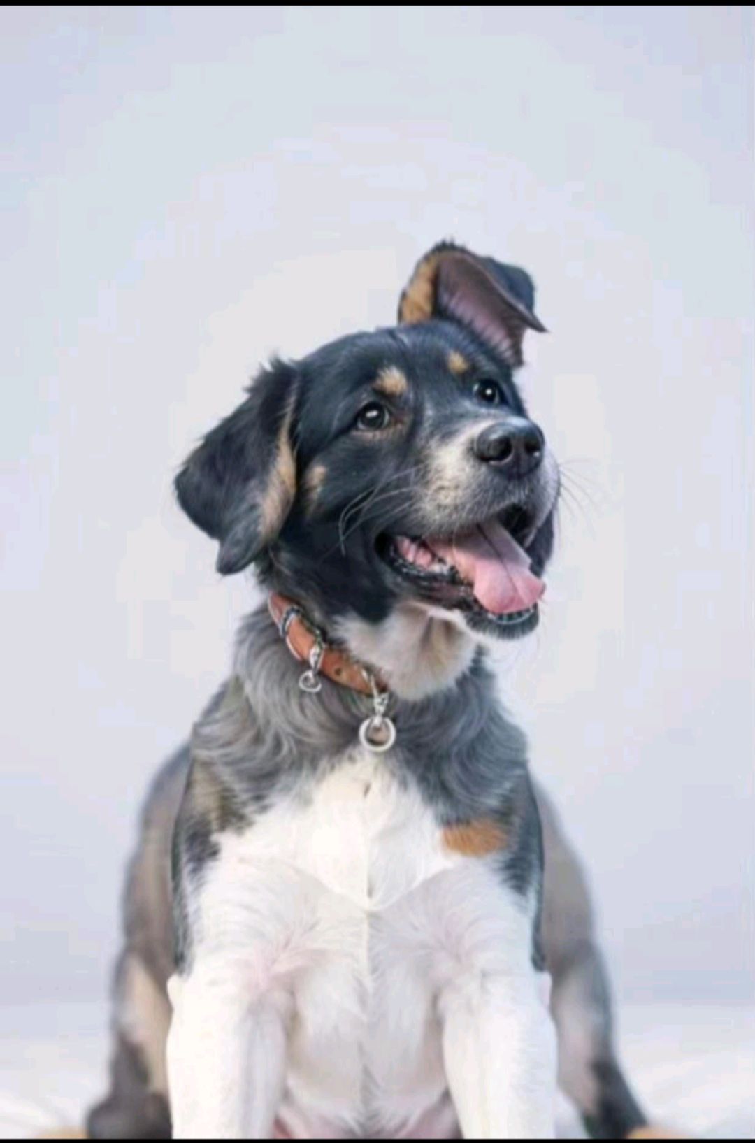 又一个广告:裸眼3d视错觉原理分析