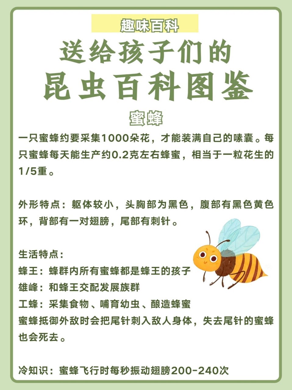 昆虫资料大收集图片