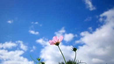 往后的日子,请善待自己,好好活着