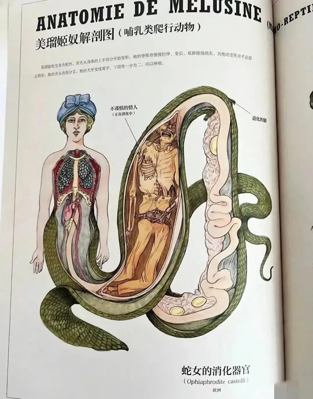 很好奇,美女蛇是怎么把人吞进去的?