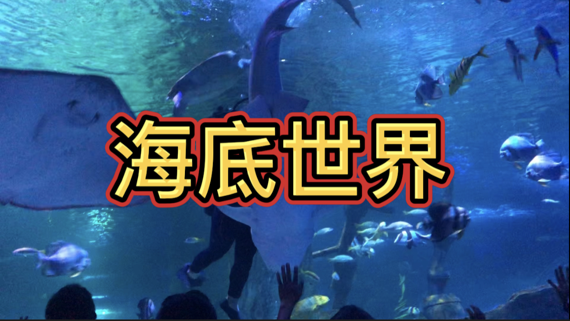 邵阳海洋馆,海底世界欣赏大鲨鱼,快来吧
