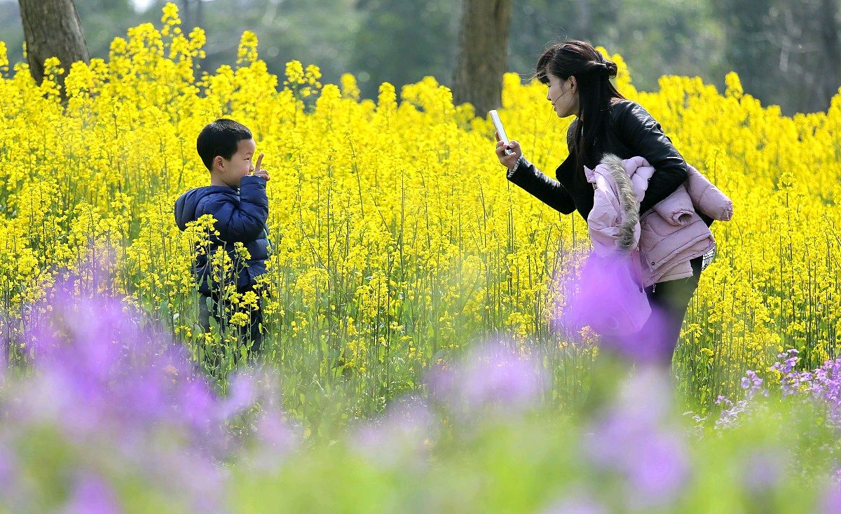 嘉兴植物园:领略自然之美,享受绿色生活