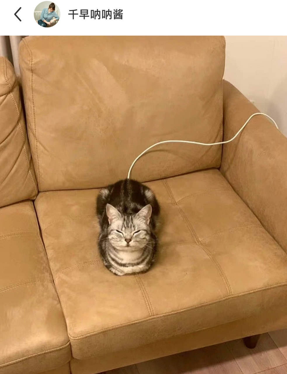 网友:回到家里发现猫猫在充电ing,哈哈哈,太可爱啦