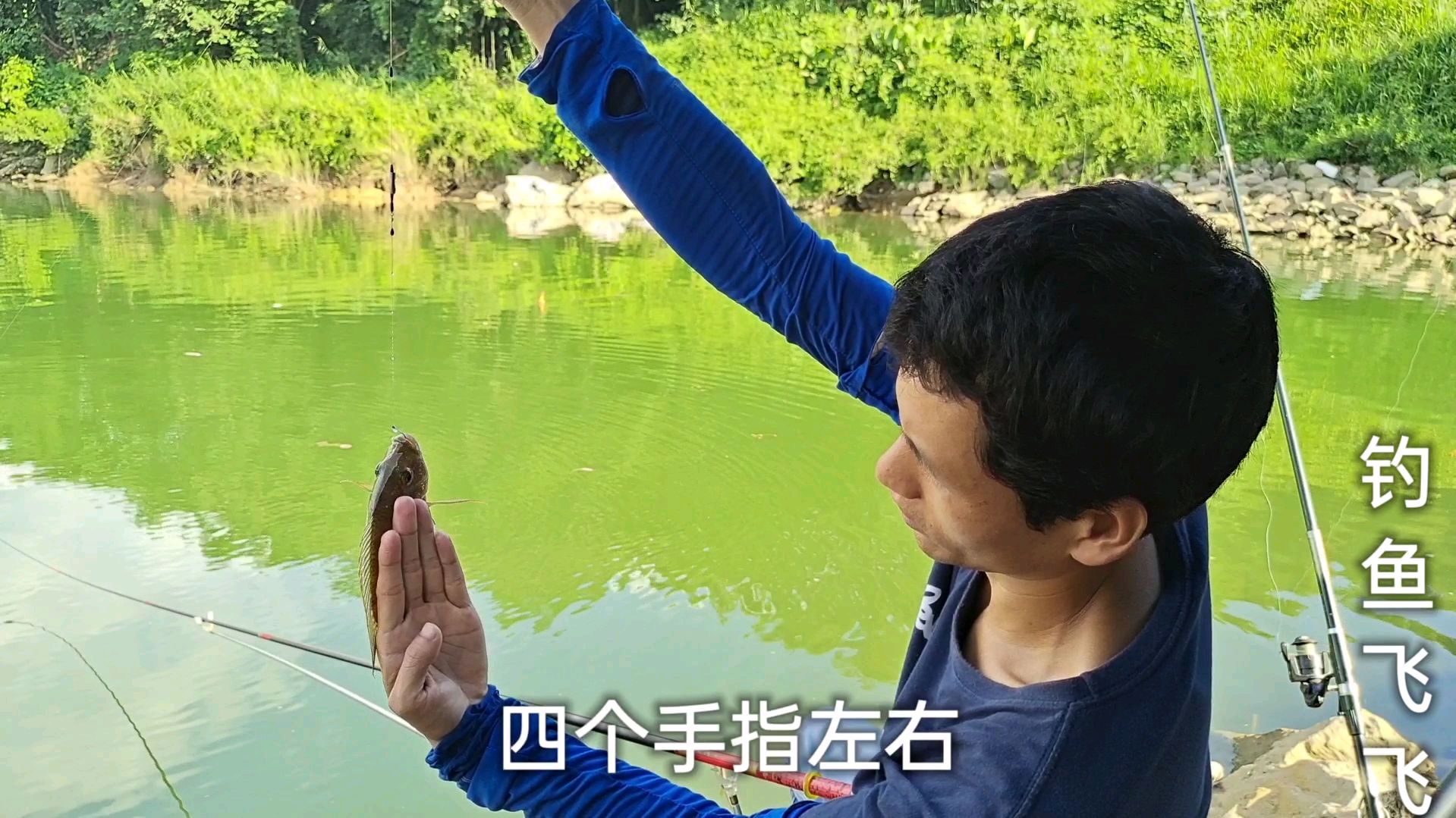 野钓:本想钓大头鱼,可惜没口,只好转钓罗非鱼过过瘾了!
