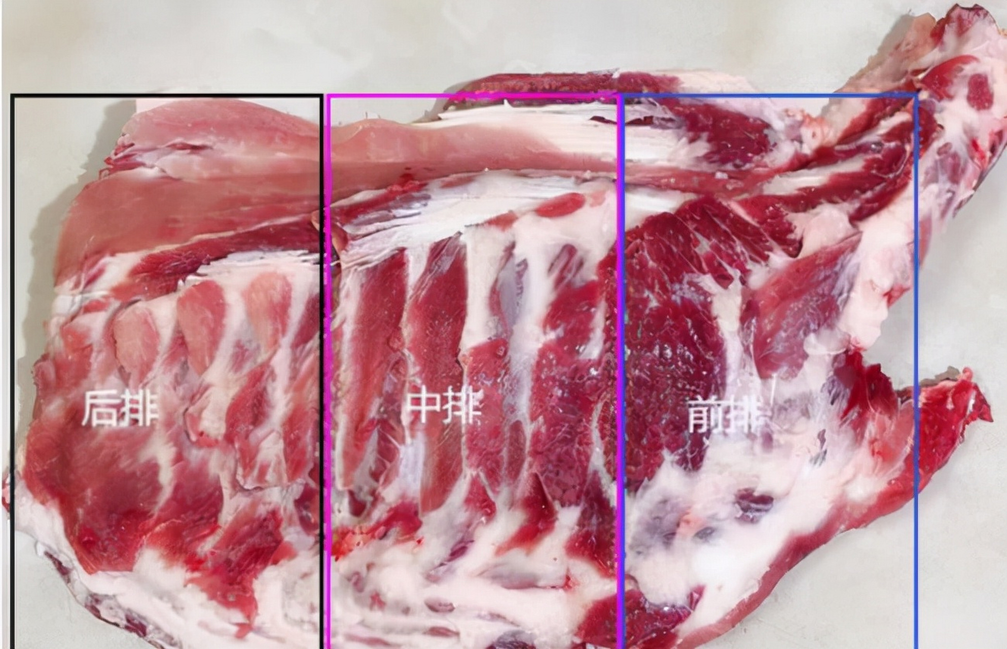 猪排骨,前排和后排有什么区别?很多人不知道.