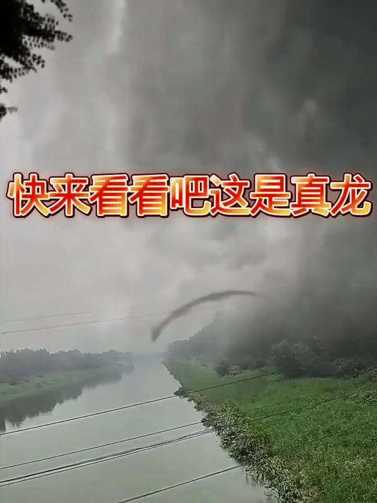 快来看看吧这是真龙