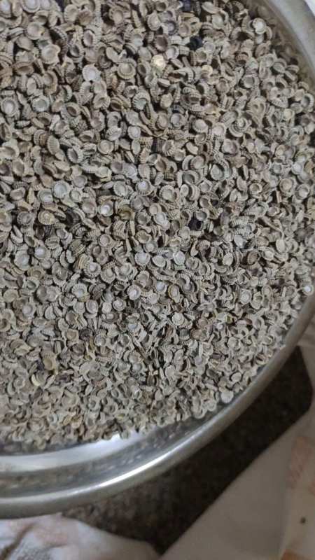 粉防己种植,亩收15w,粉防己种子一斤可移栽3亩地,计划种植育苗以及