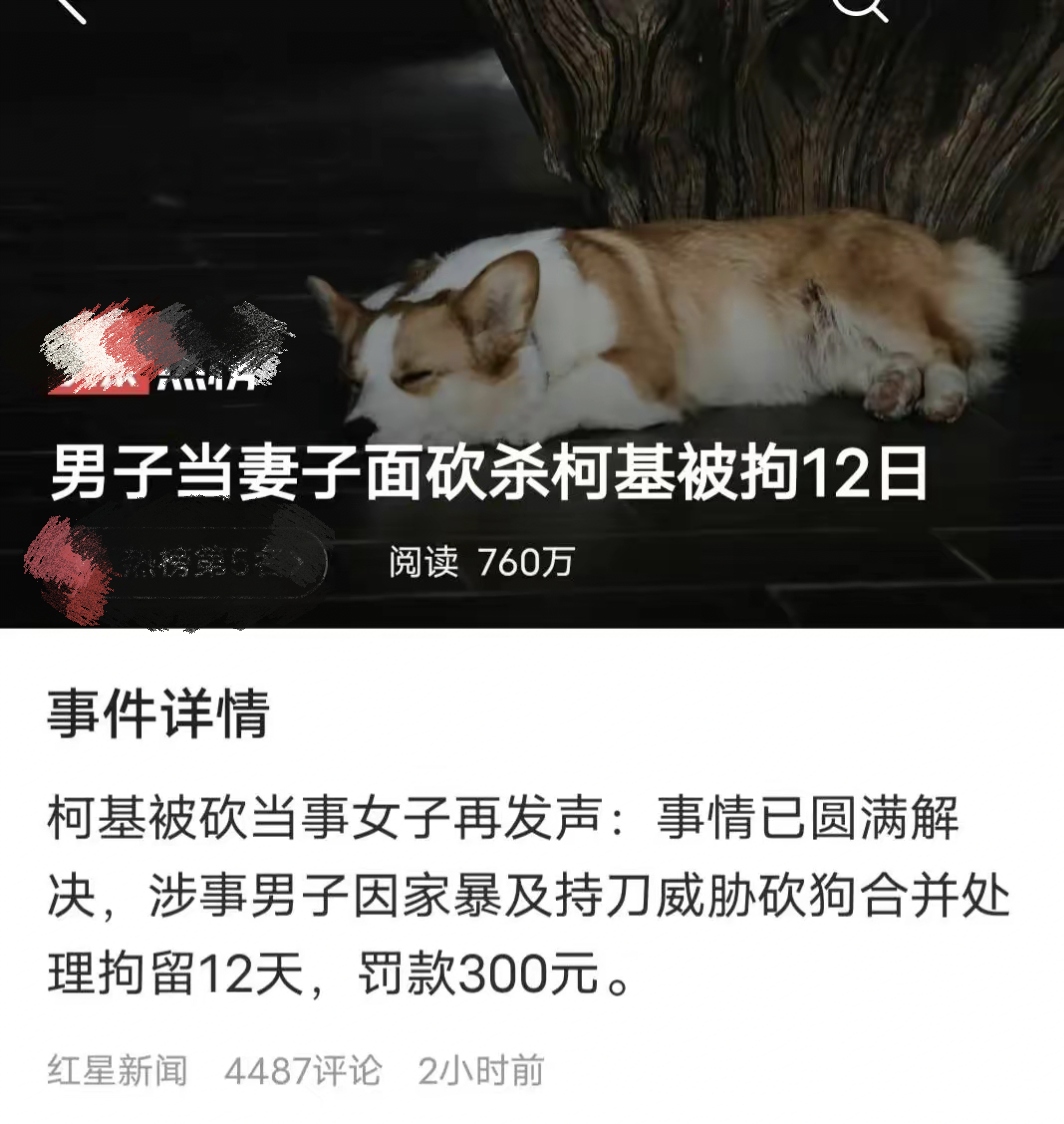 乱刀砍死的意思图片