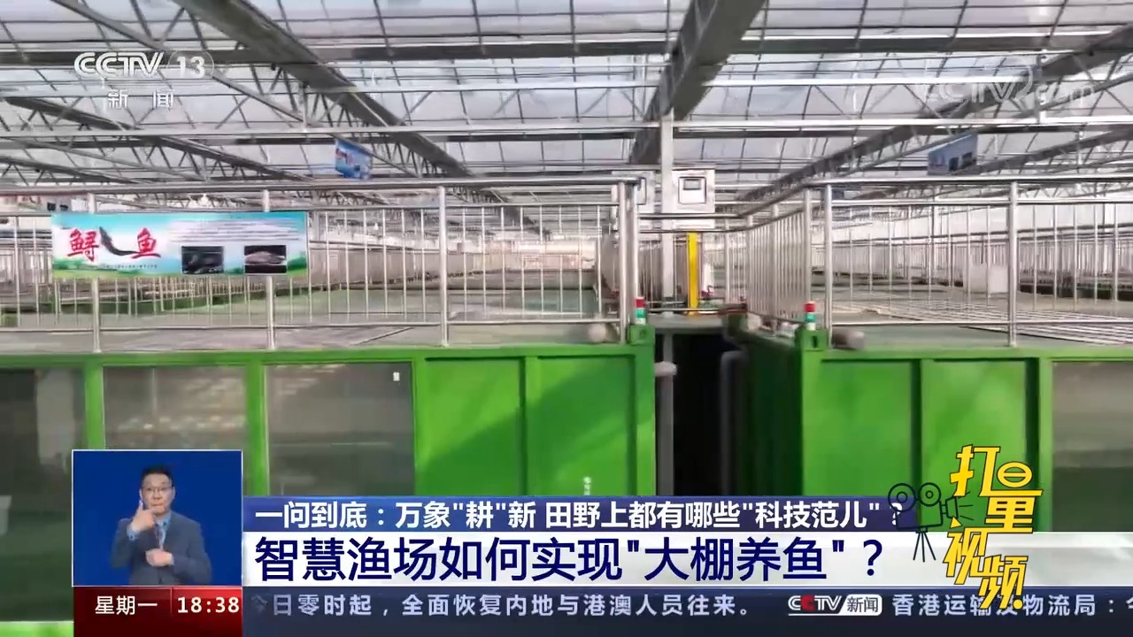 智慧渔场如何实现“大棚养鱼”?带你了解致富新方式|共同关注