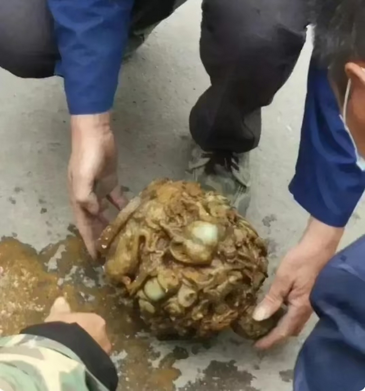 爸爸在工地挖到的,有人说是舍利子,有人收吗?