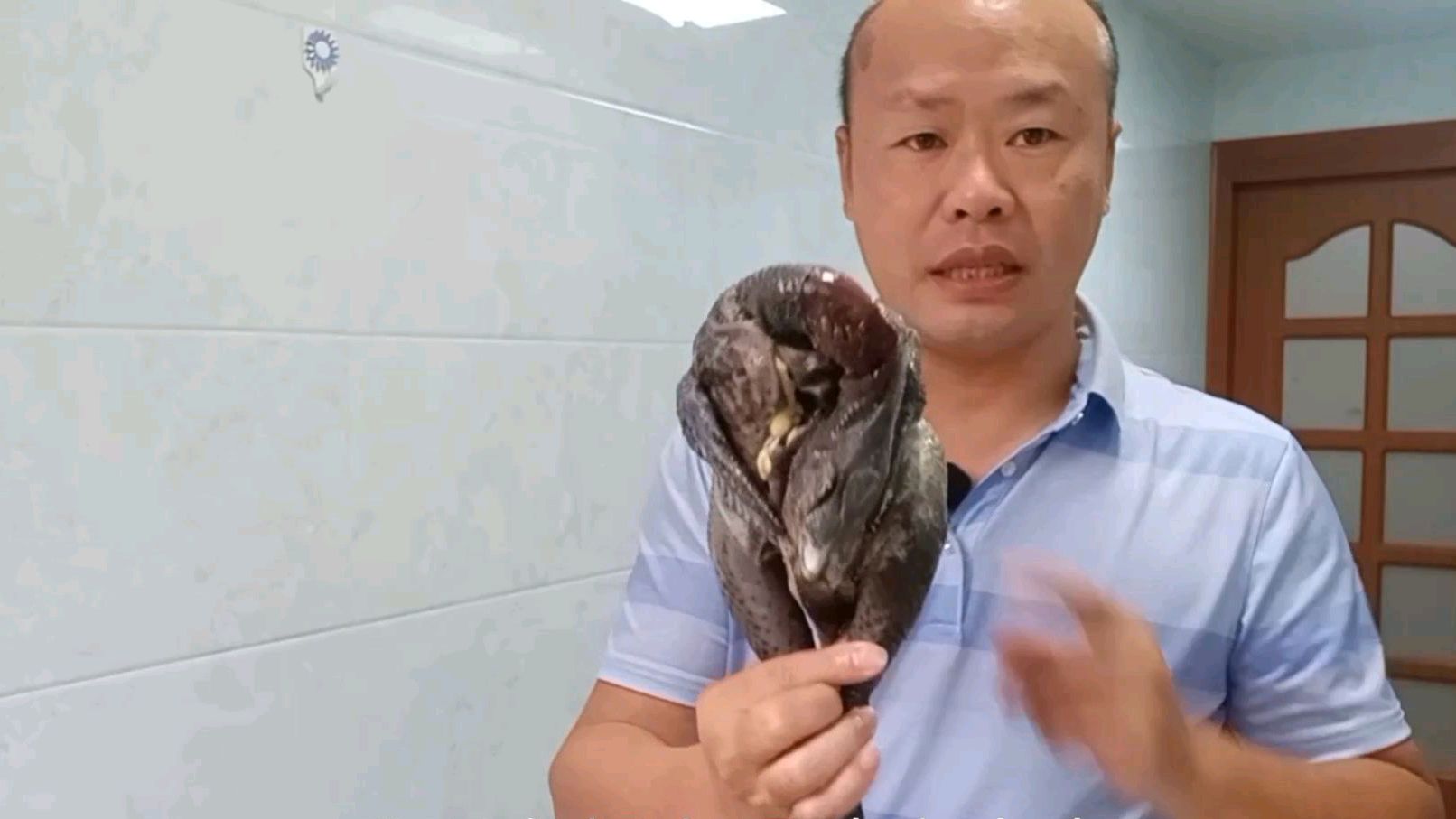买只农家喂养老母鸡炖汤,老母鸡不要直接下锅,鸡汤滋补味道鲜美
