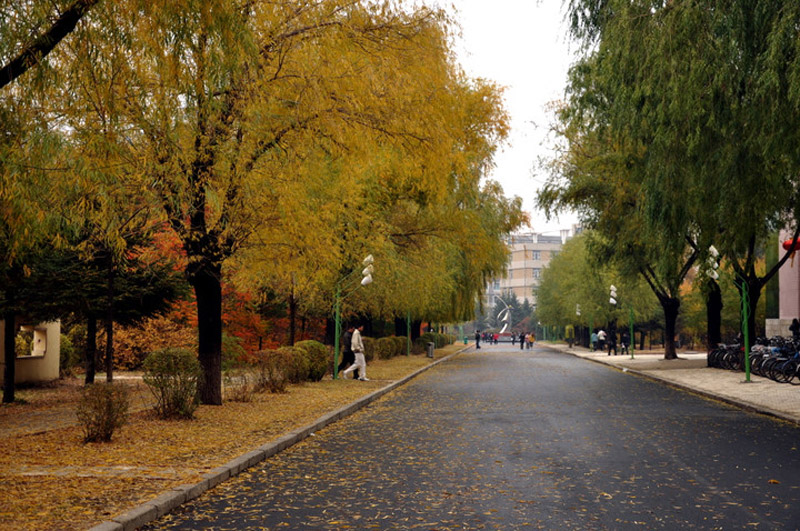 东北1所省重点师范大学,拥有省字头的名称,却地处一座小城