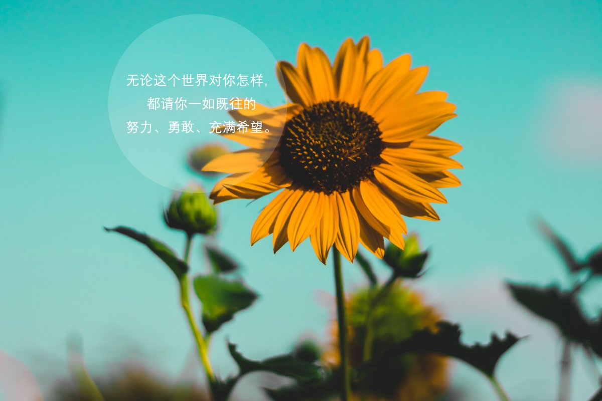 学霸儿子抑郁辍学,我才明白:得了"空心病"的孩子,学不会努力