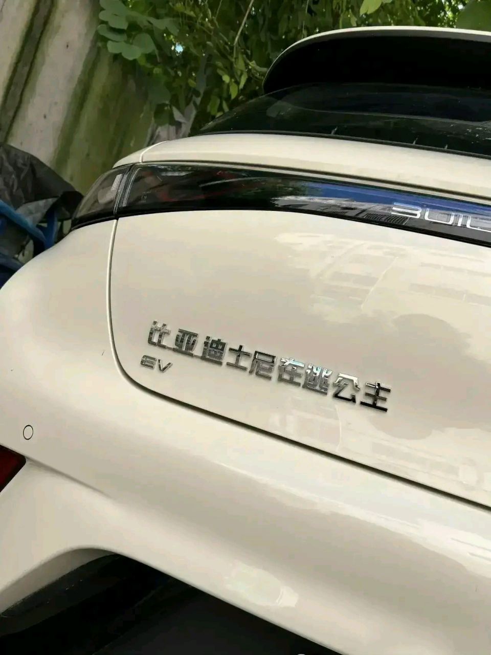 这个不算恶搞比亚迪车标吧