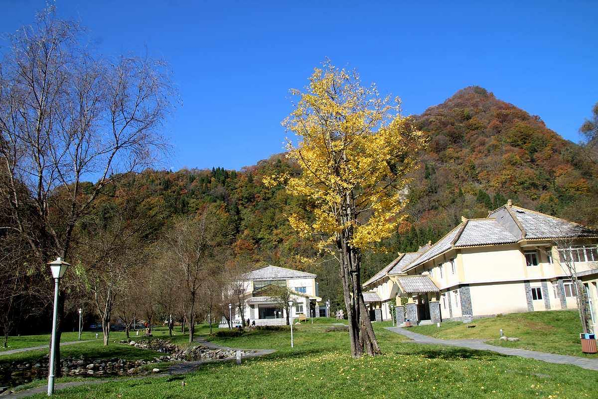 四川广元市青川县唐家河景区是一个充满诗意和风情的旅游胜地.