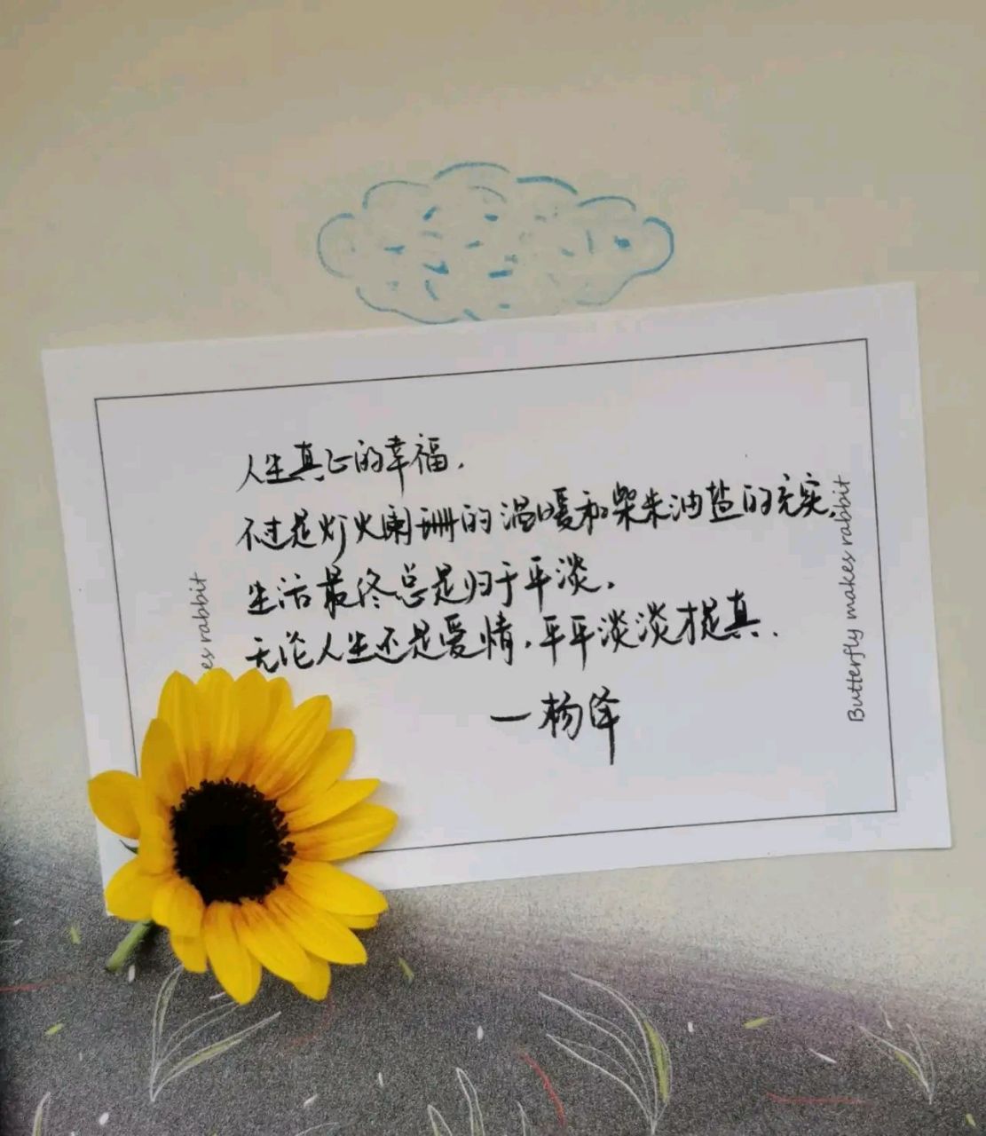 杨绛先生经典语录:  "人想开了,就会明白,在这个世界上,你就是你,你痛