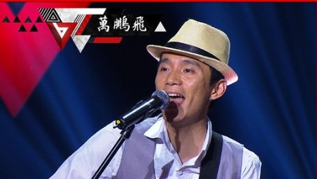万鹏飞