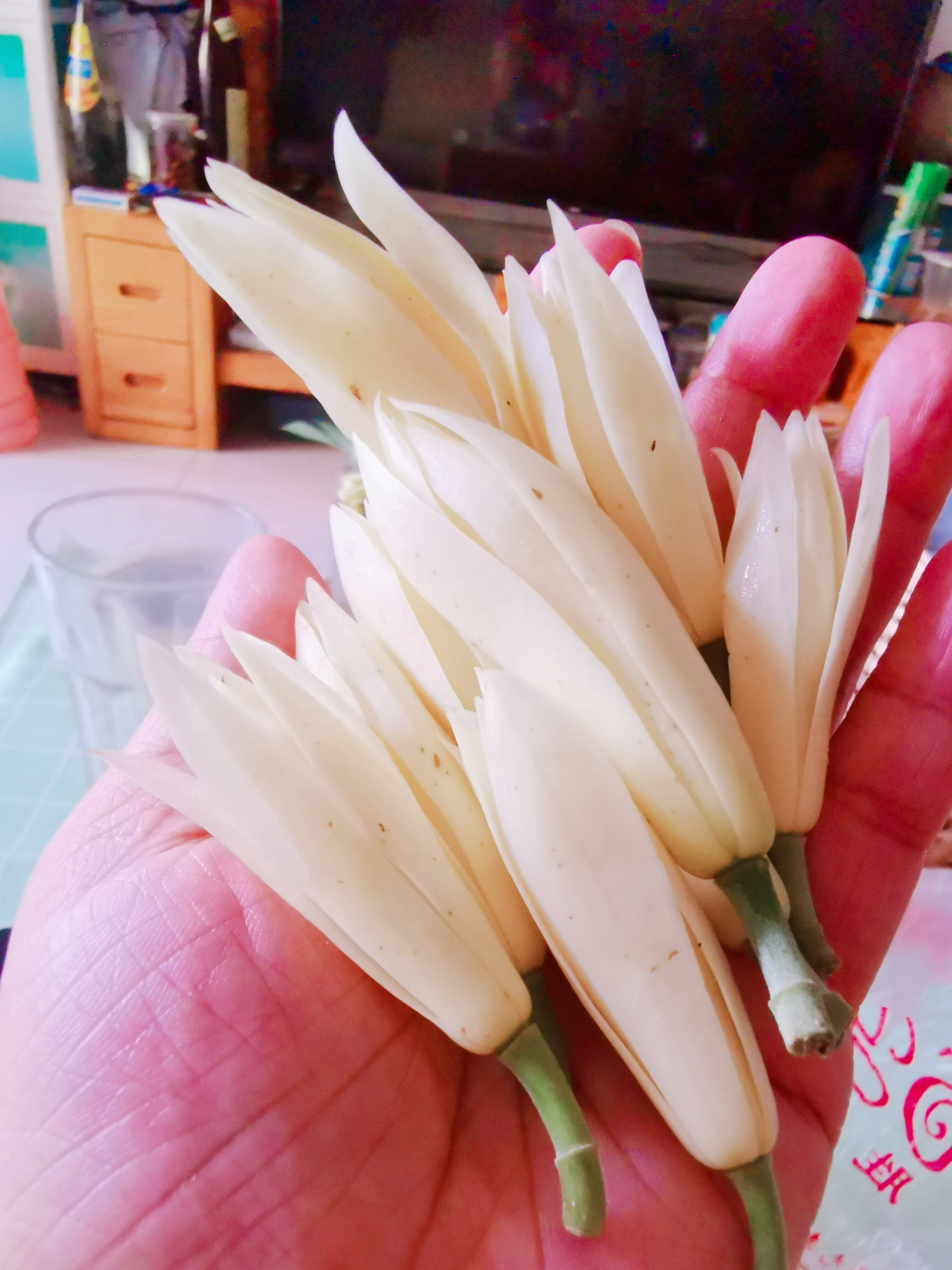 黄角兰泡酒快速止痒蚊虫叮咬