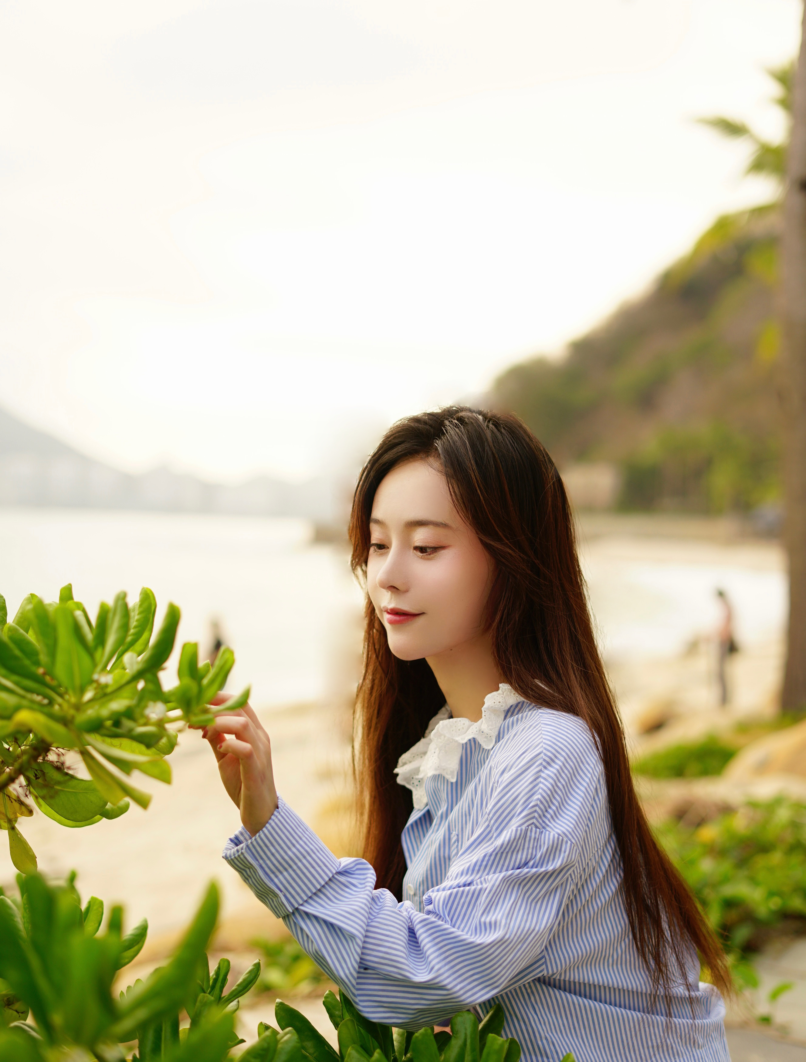 宁安如梦 叶晞月饰薛姝,女三号热衷于"搞事业"人设很有趣