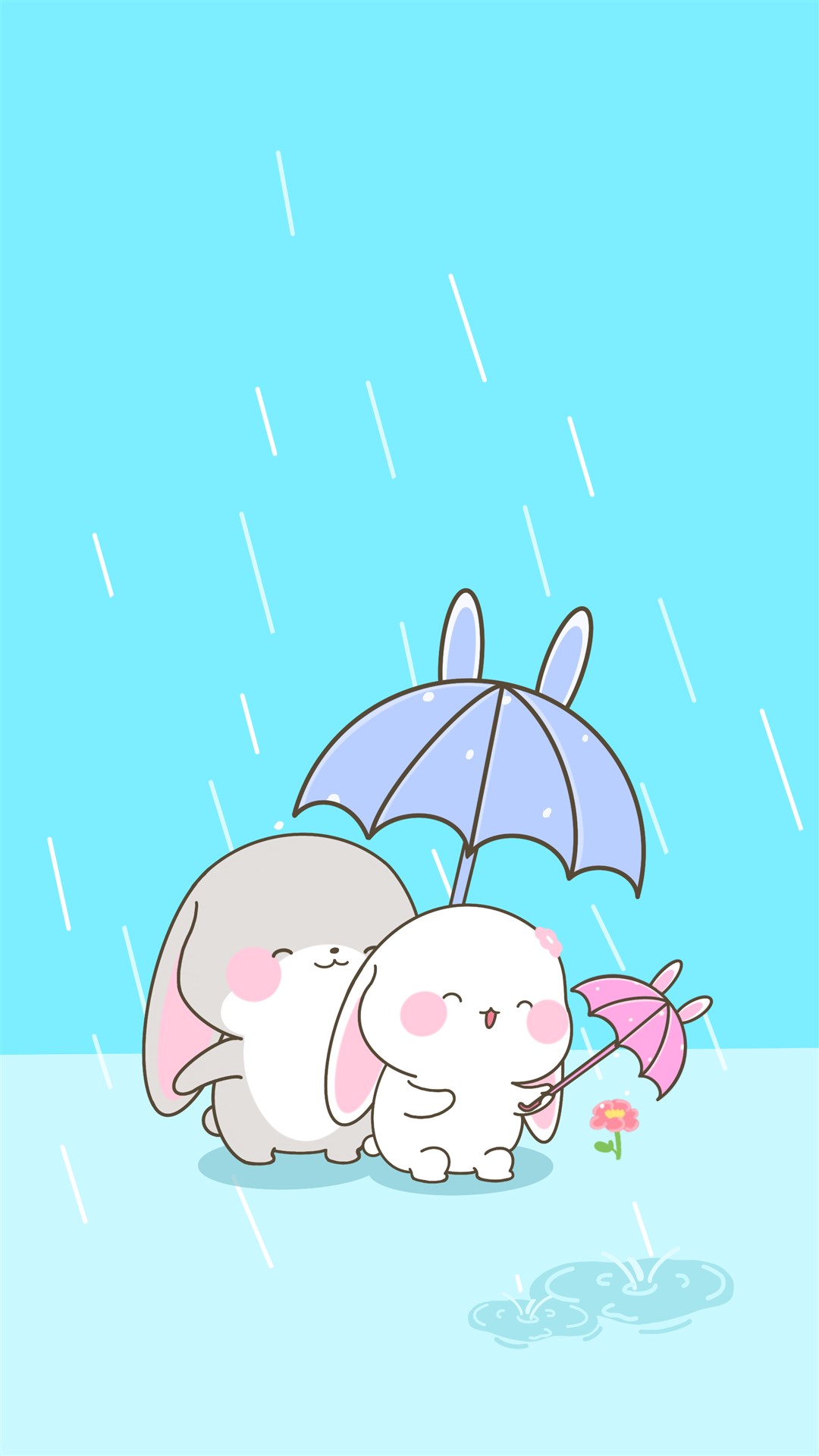 甜兔酱手机壁纸,兔子情侣的日常,温馨治愈又浪漫