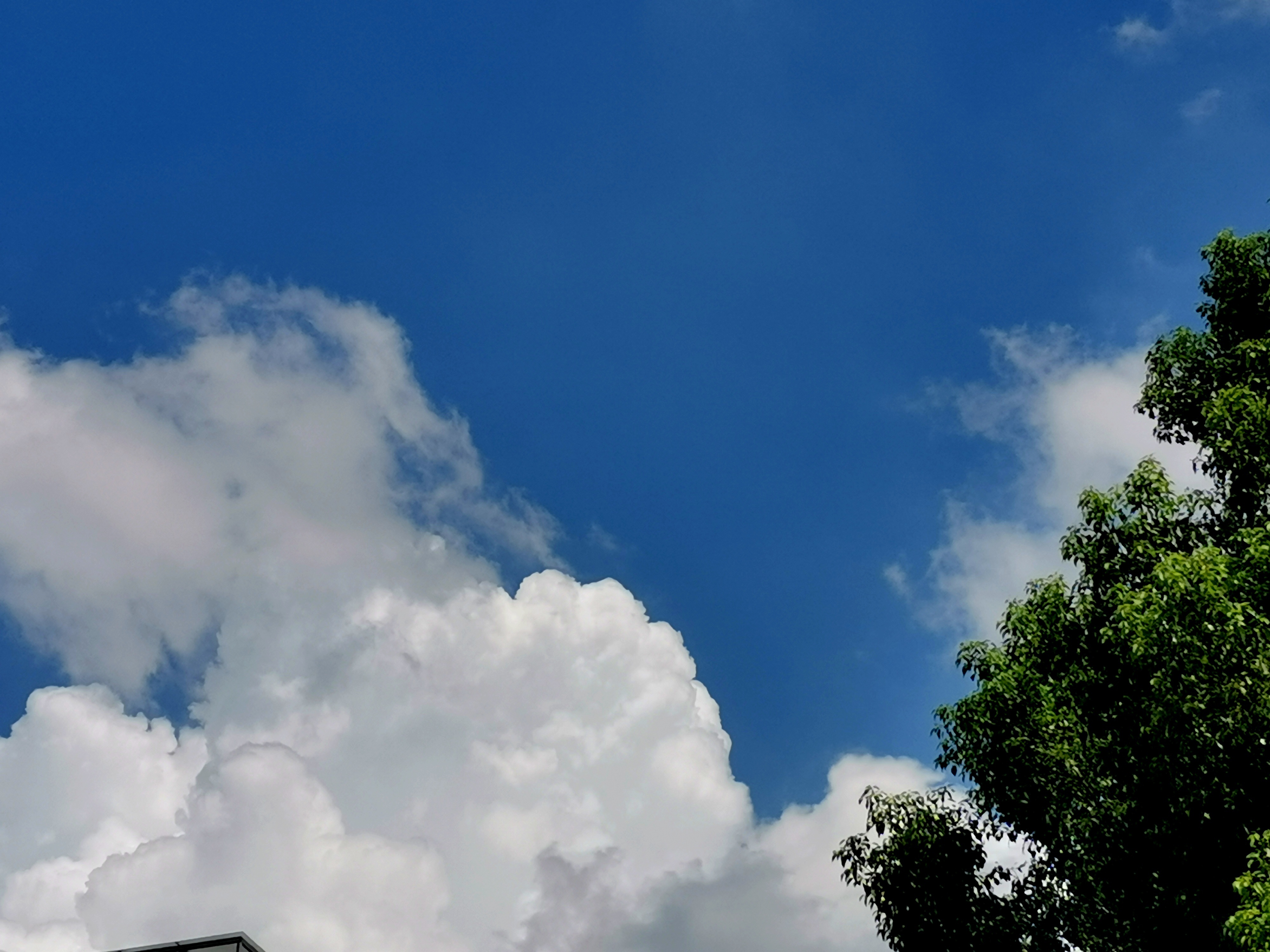 绿意盎然的春天,空气都是清新的