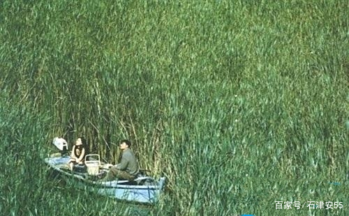 漂流欲室电影(漂流欲室电影结局)