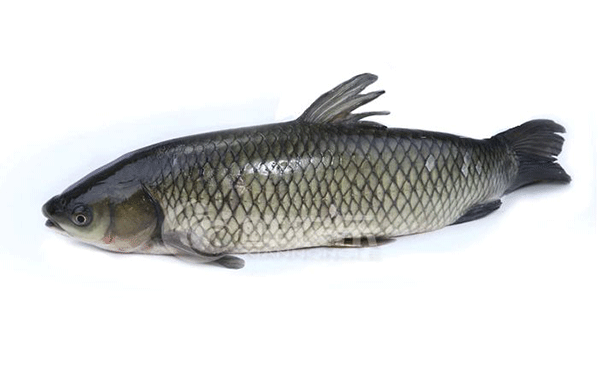 一鱼三吃,一房五吃