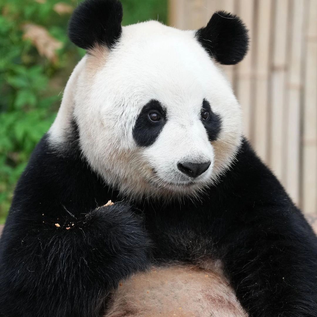 爱宝怼脸拍都无敌漂流,少女感十足