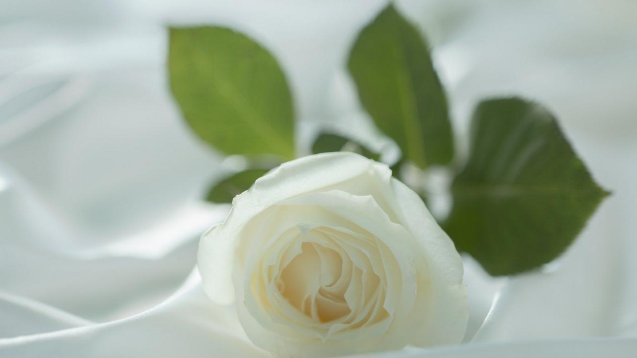 心理学,这些图片你会选择哪一张,测出你最近的运气是什么样的