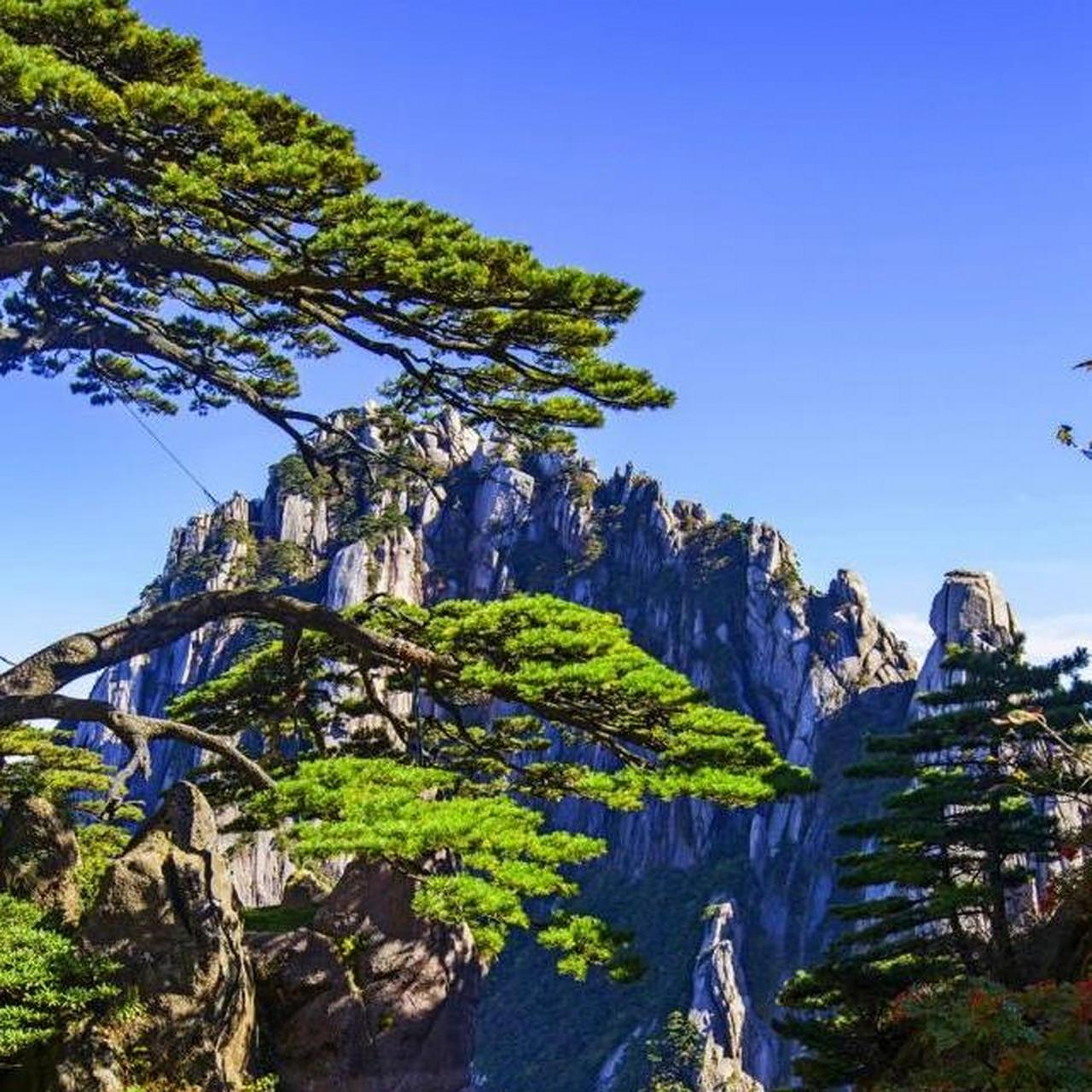 黄山,天下第一奇山[赞同]黄山之巅,气势磅礴,云海翻腾,仿佛置身于仙境
