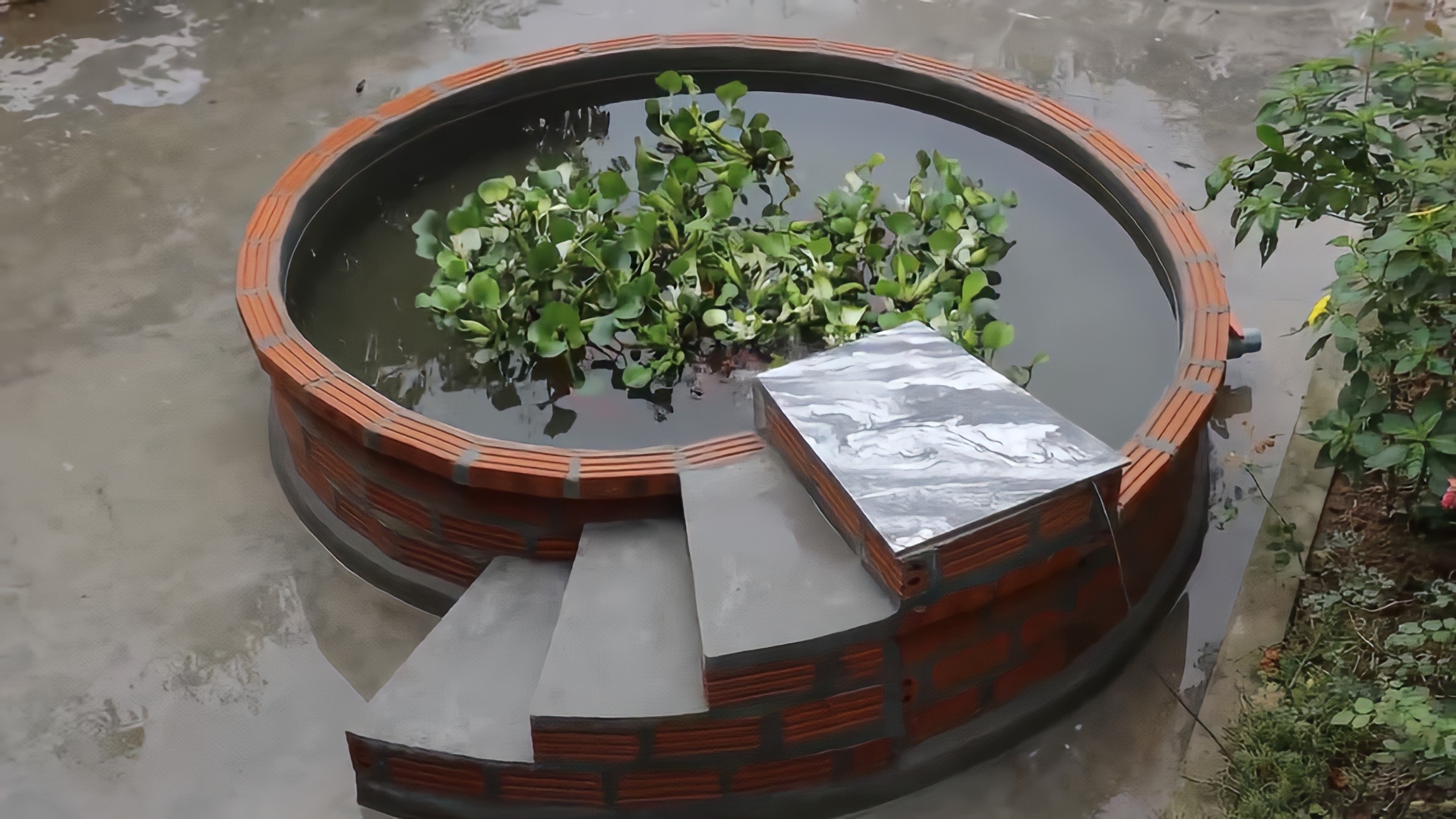 农村小伙用红砖修建的鱼池,不仅外观设计独特经久耐用更不在话下