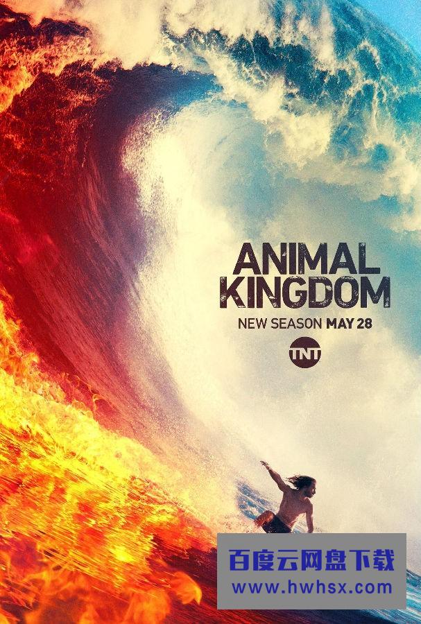 [动物王国/野兽家族/Animal Kingdom 第四季][全13集]4k|1080p高清百度网盘
