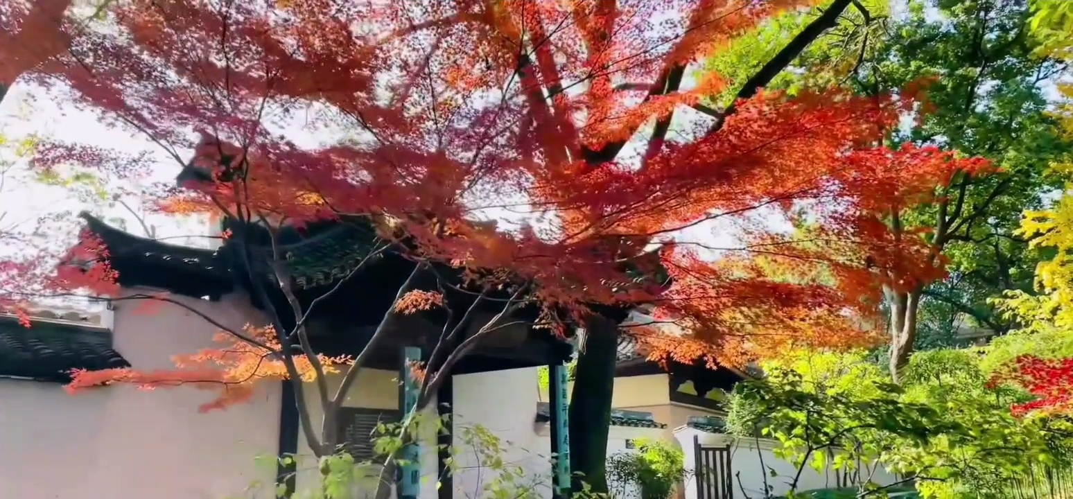 《釵頭鳳·紅酥手》