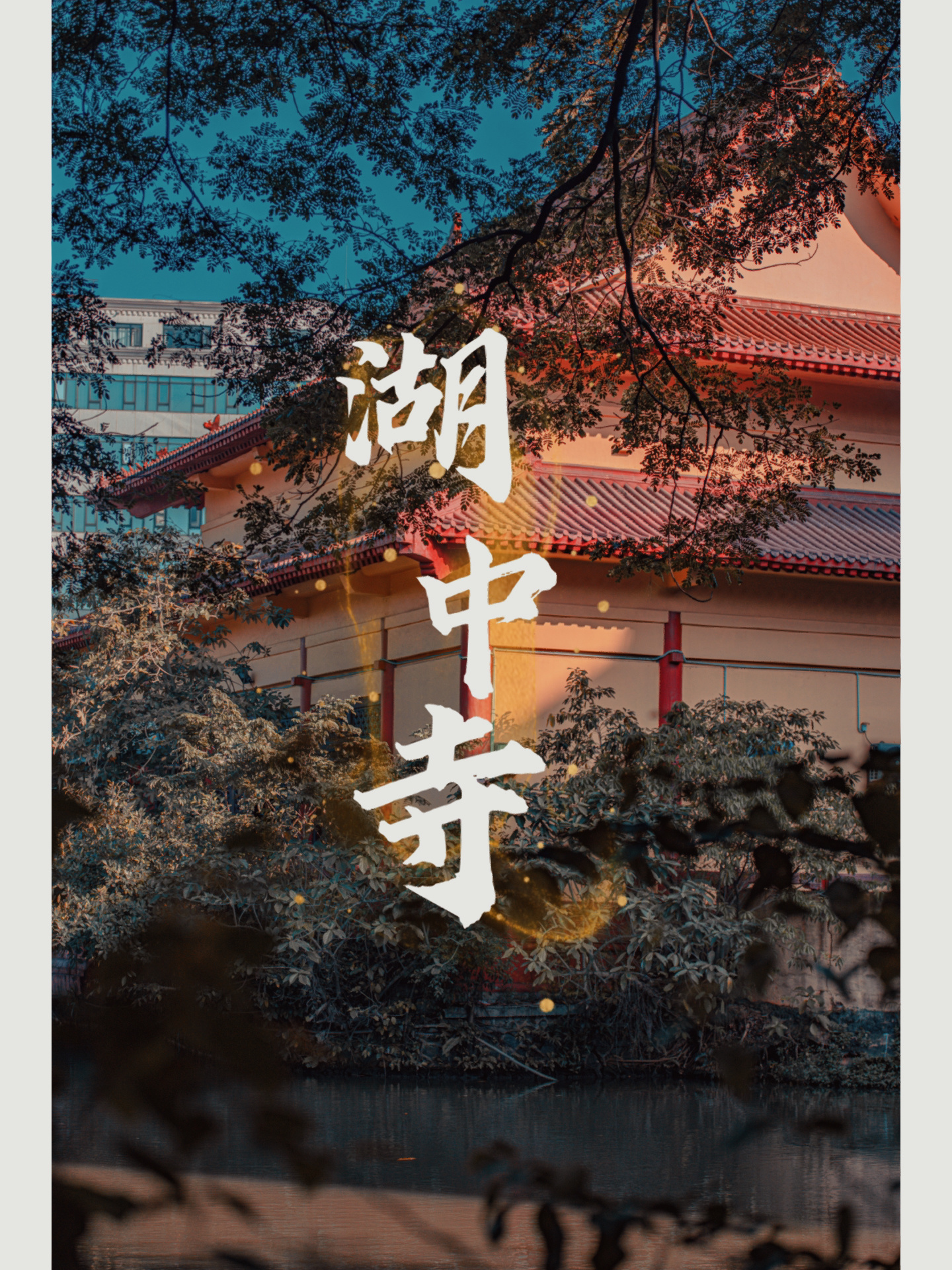 海口|湖中寺,闹市中的静谧之处!