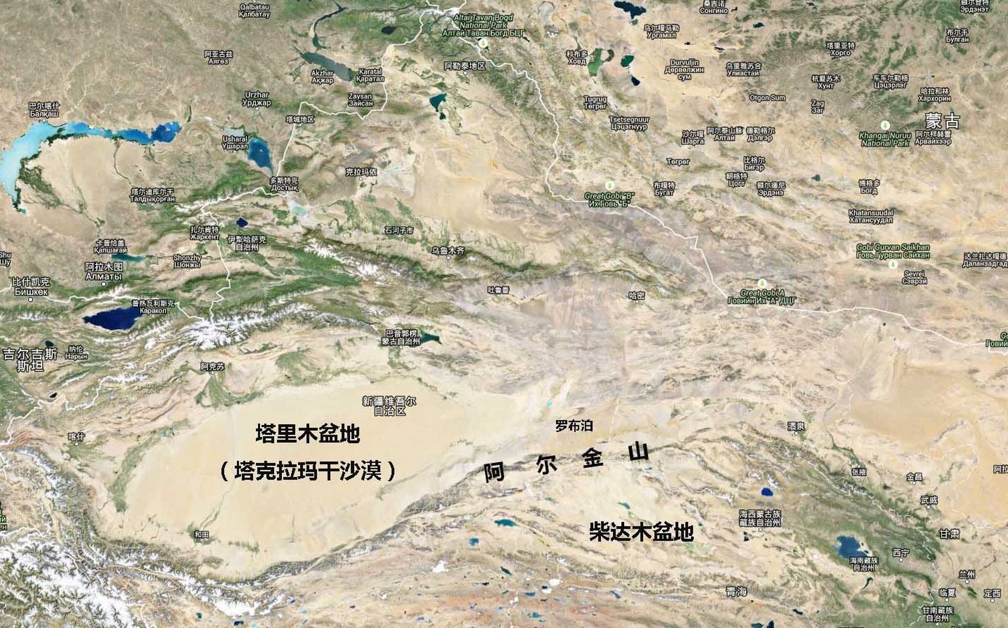 青海省都兰县五龙沟野生枸杞