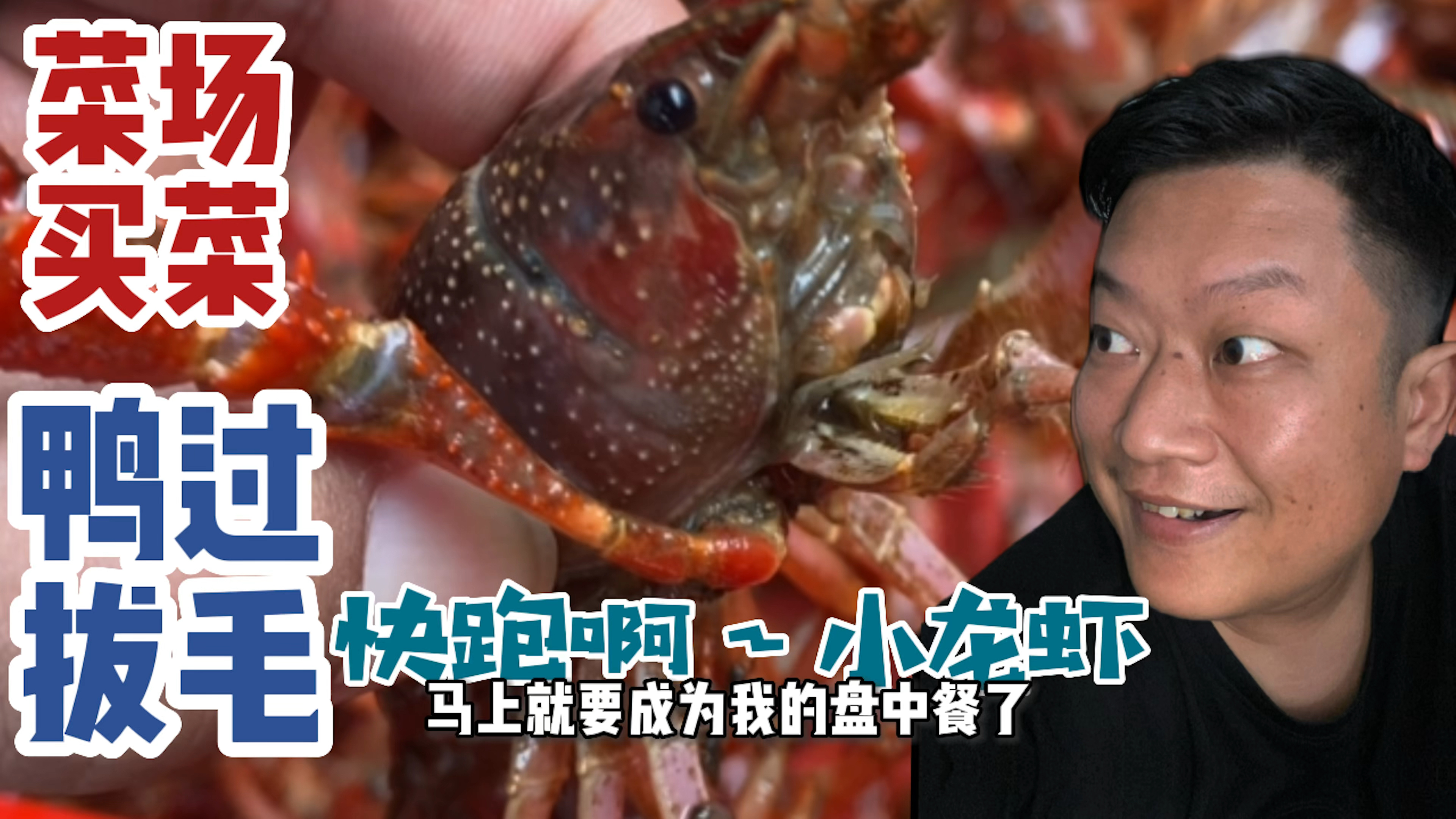 老滔:菜市场我来啦!小龙虾劫数难逃,鸭过拔毛