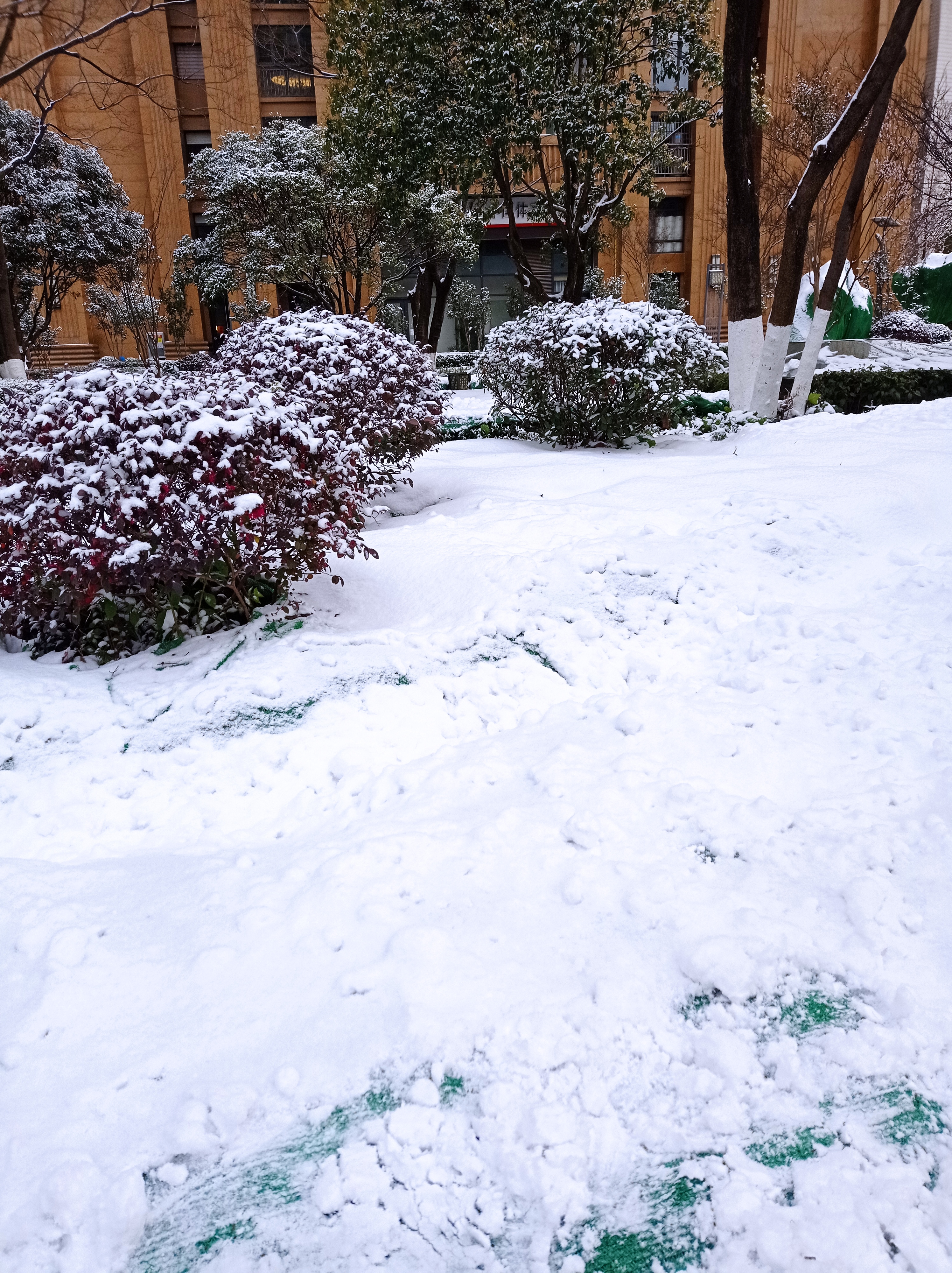 昆明真实下雪照片图片