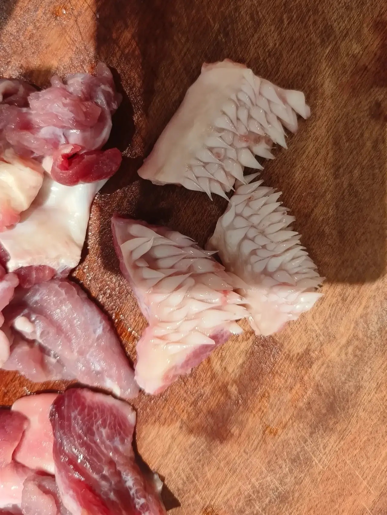 摸起来滑滑的,牛肉上面有白色针刺的肉芽图片牛腩煮熟后有白色尖角