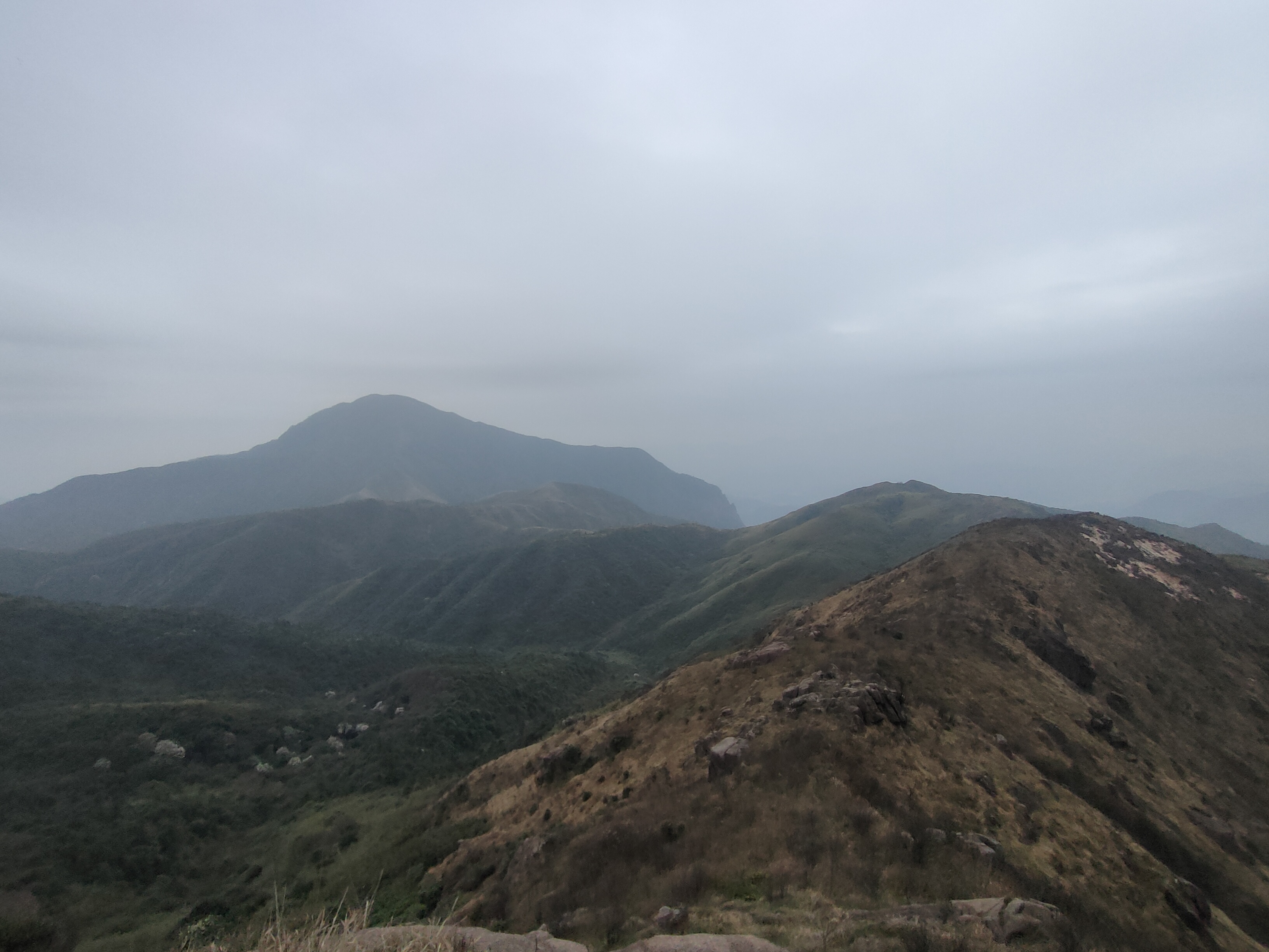 203~205,2021年清远连山县大雾山,政岐山,红泥埒三峰连登