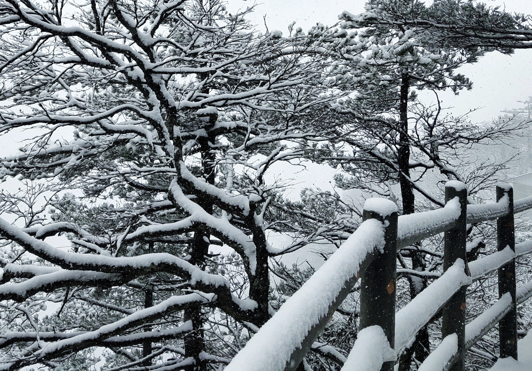 河南魯山:2022年堯山洋洋灑灑的第一場雪 11月13日,堯山風景名勝區