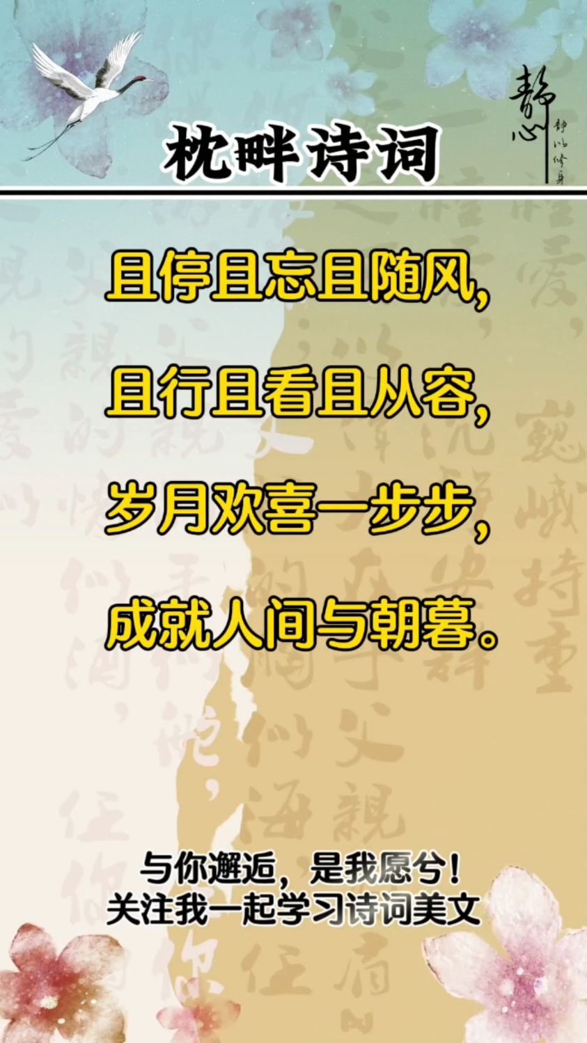 枕畔诗词且停且忘且随风且行且看且从容每天学习一点点