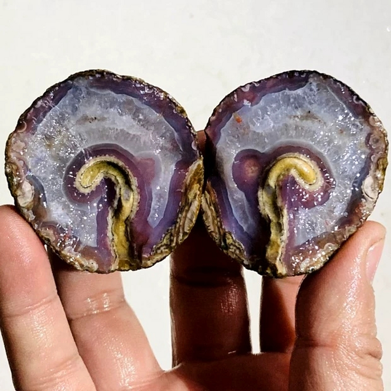 战国红玛瑙原石奇石象形如意豆芽,朋友说中国式亲戚就是没事的时候