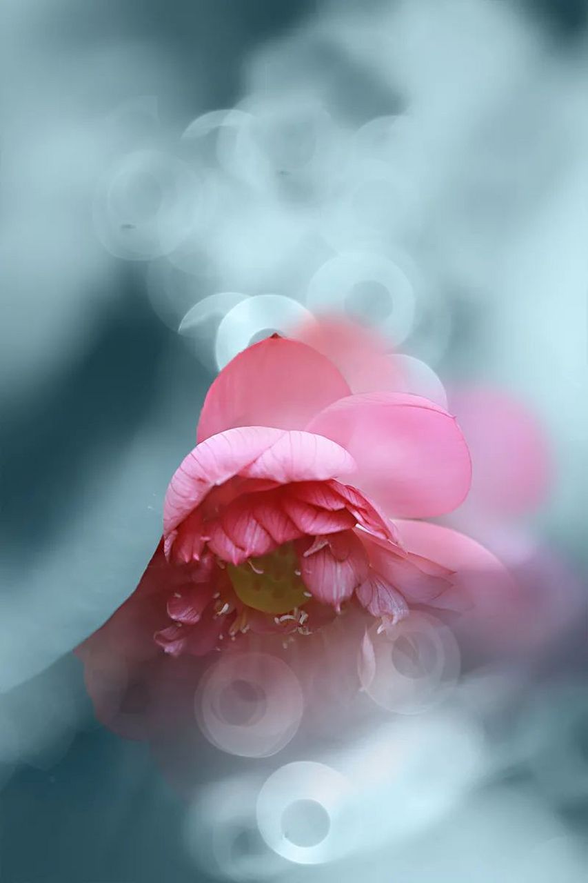 丈夫举止谦恭,言语温和,妻子却坚持离婚.