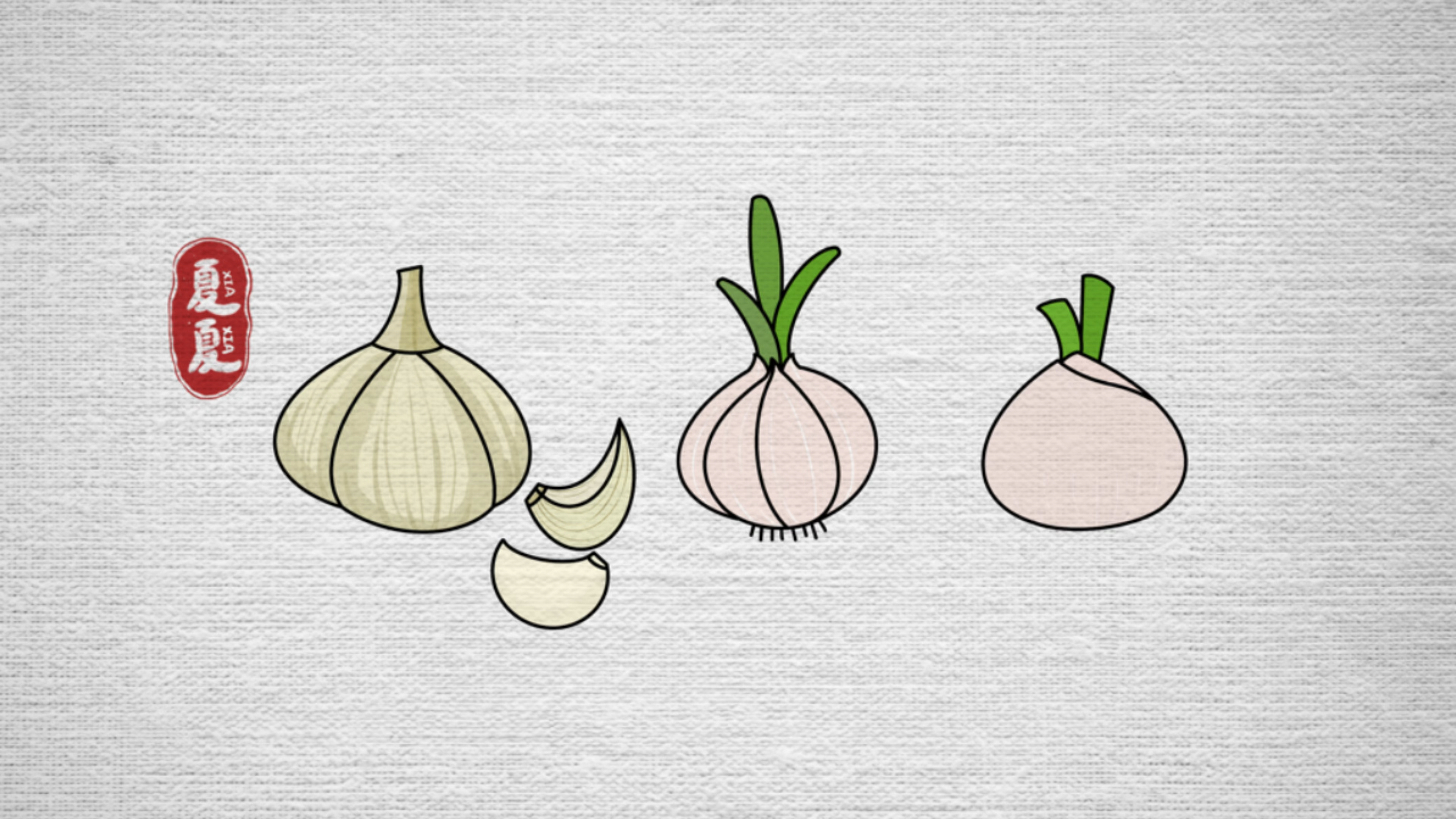 简笔画蒜大蒜蒜头