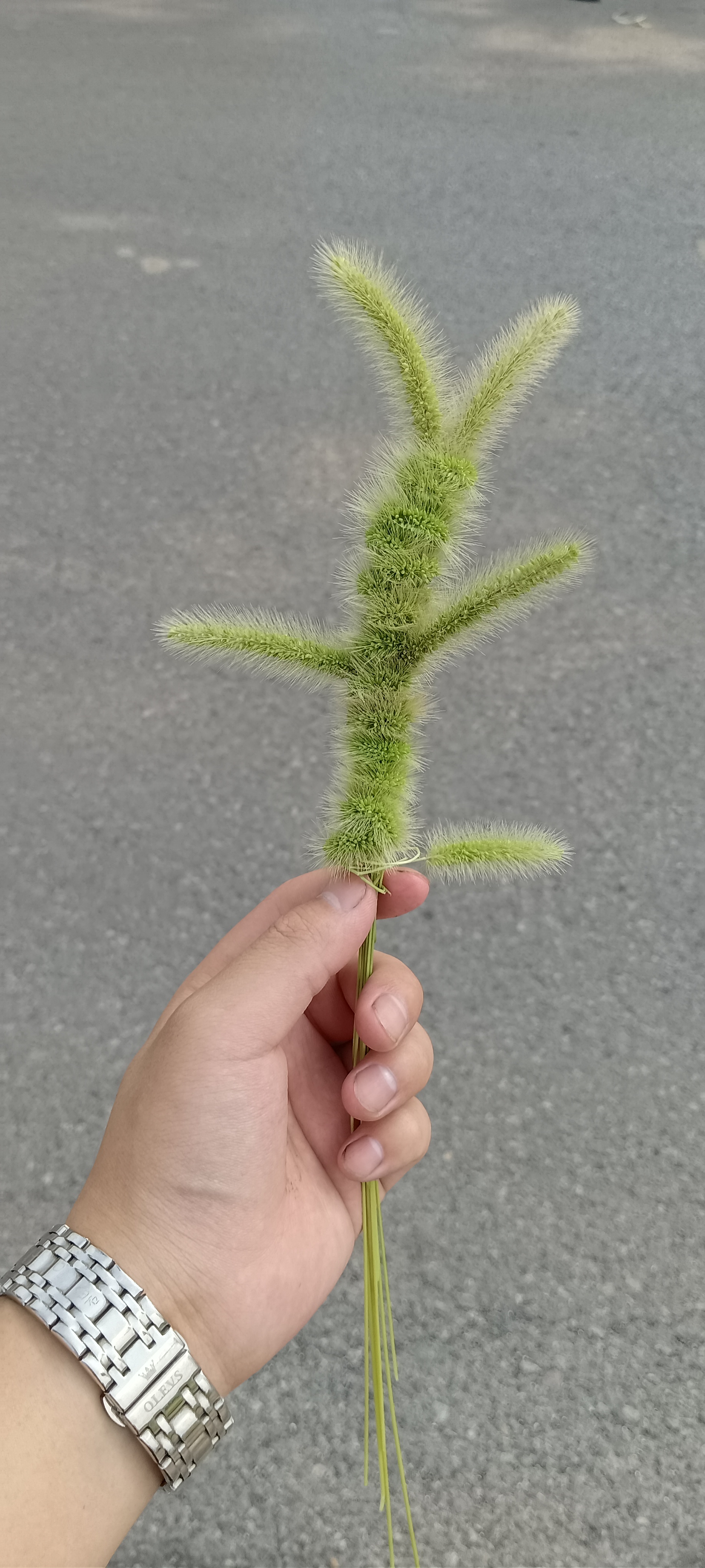 董康岩_出门没看黄历!小破车追我尾!
