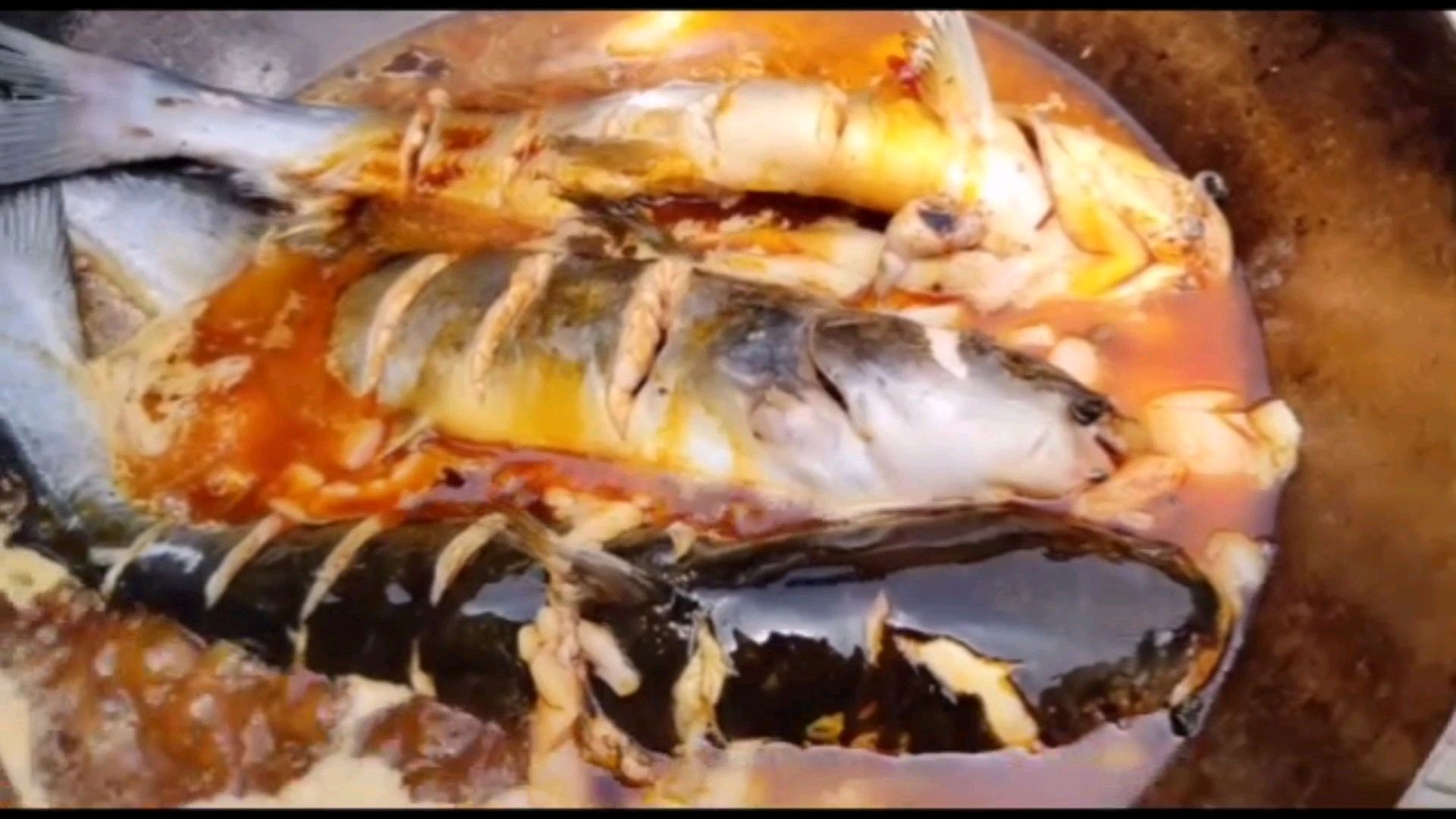 美食天下,铁锅炖鮰鱼的做法,赶紧和丽姐一起做美食吧